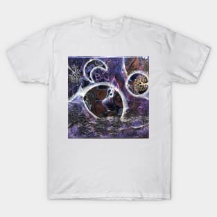 Snow globe Galaxy T-Shirt